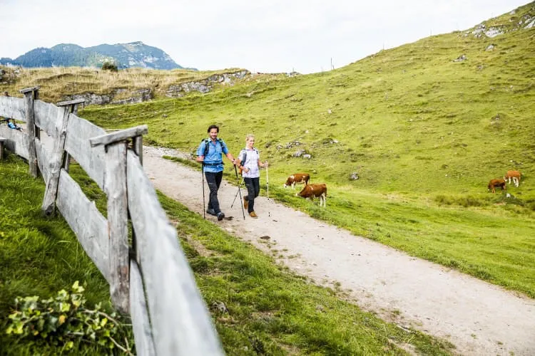 Die-schoensten-Wanderwege Die-schoensten-Wanderwege